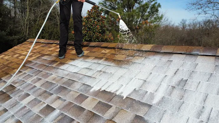 Roof Revivers Picture 2