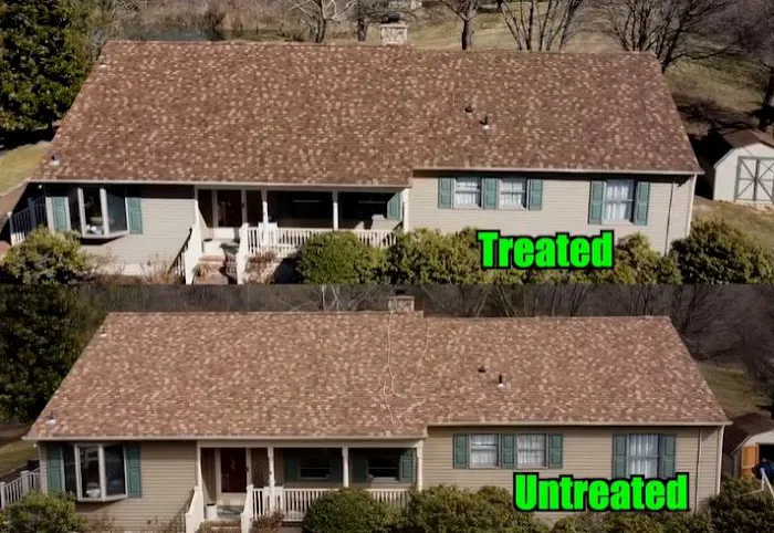 Roof Revivers Picture 4