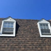 The Queen Team G.C. ico