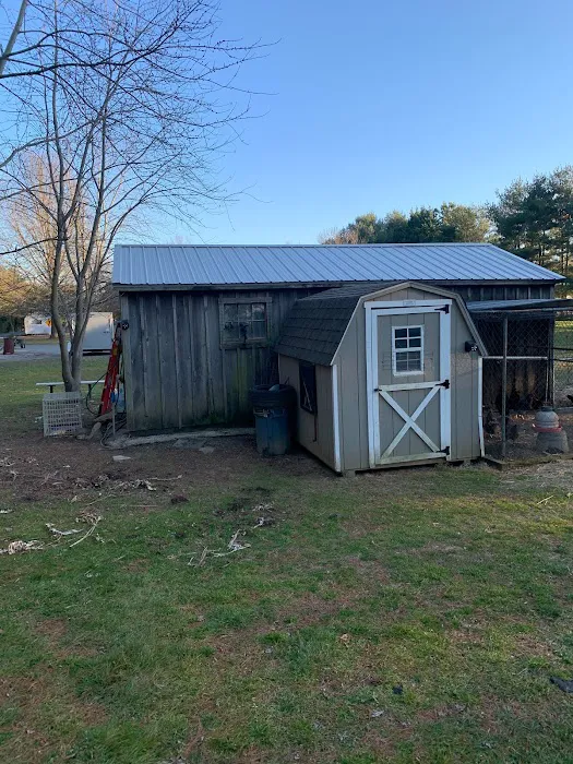 Parker Contracting Picture 5