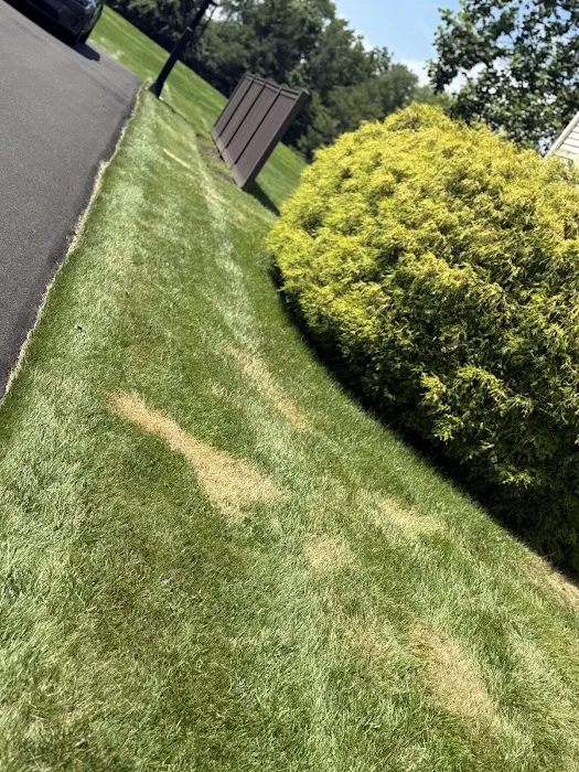 Janville Roofing & Siding Picture 1