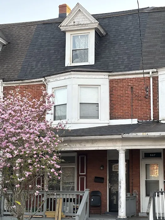 Rapid Response Roofing Picture 2