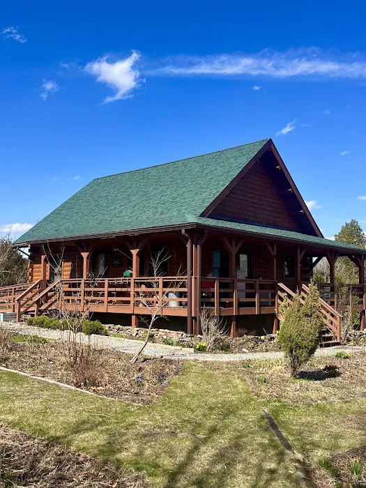 Rapid Response Roofing Picture 4