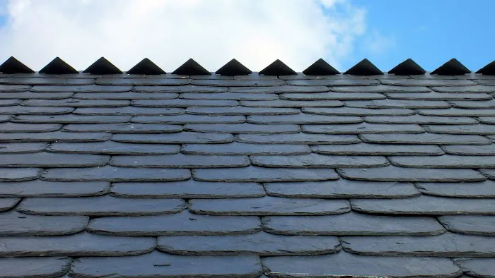 Fania Roofing Co Picture 7