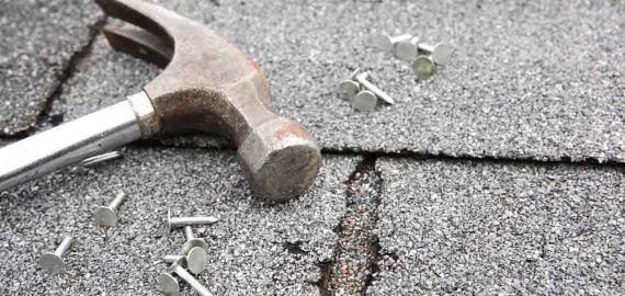 Hernandez & Sons of NEPA Picture 1