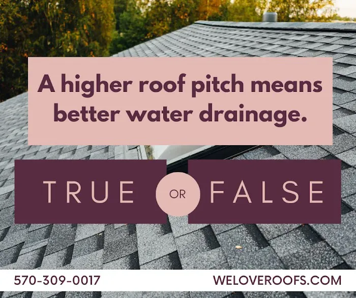 For The Love of Roofing Picture 4