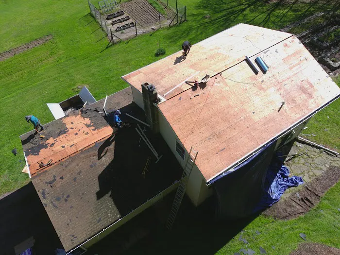 Perez Performance Roofing Picture 1