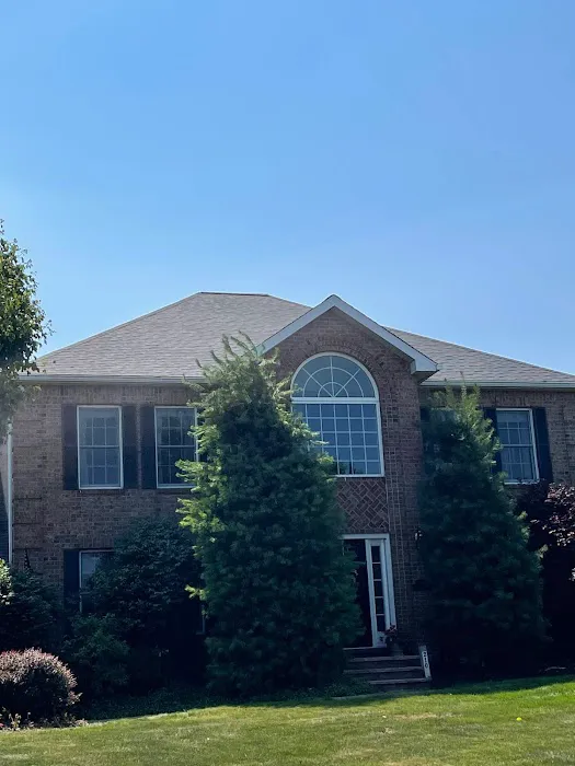 BF Construction Picture 8