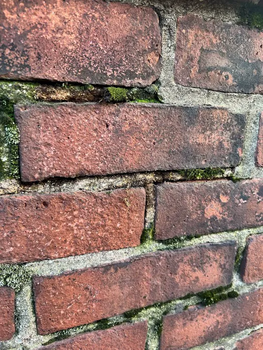 ADN Roofing LLC Picture 4