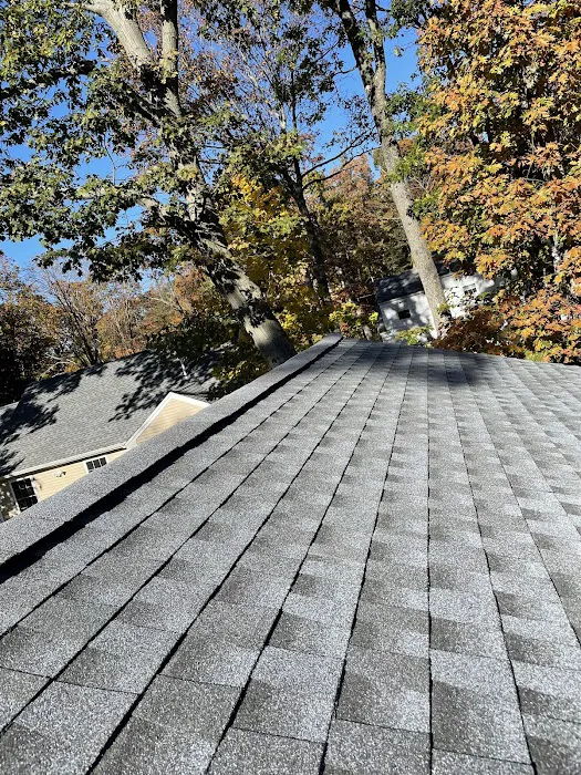 SOS Roofing & Construction Inc. Picture 3