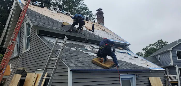 Brown Roofing Picture 4