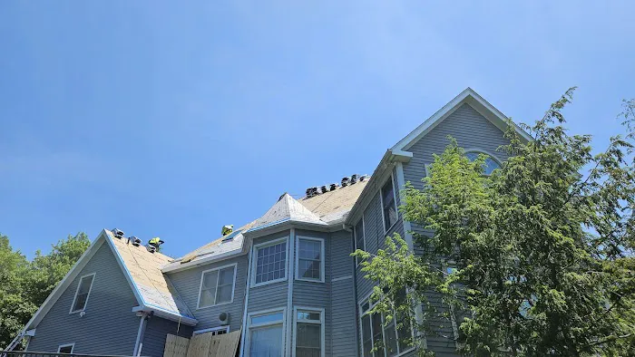 Brown Roofing Picture 3