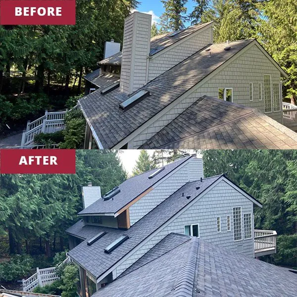 Dolphin Home Improvement LLC Picture 5