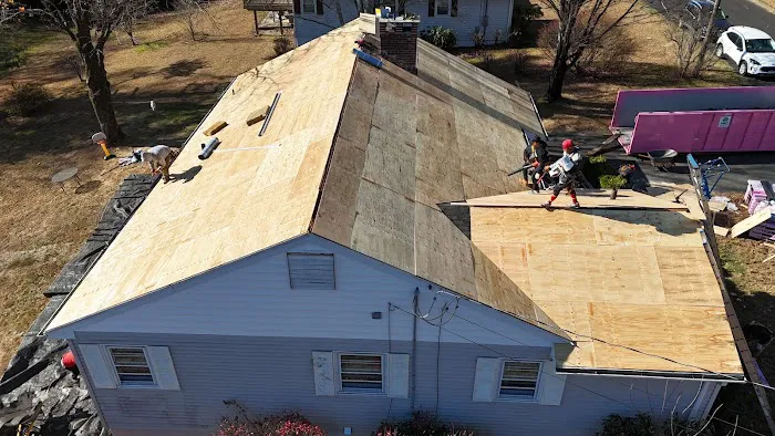 Rejoice & Restore Picture 6