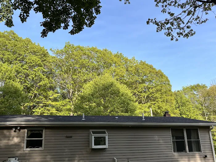 AAA Roofing Picture 2