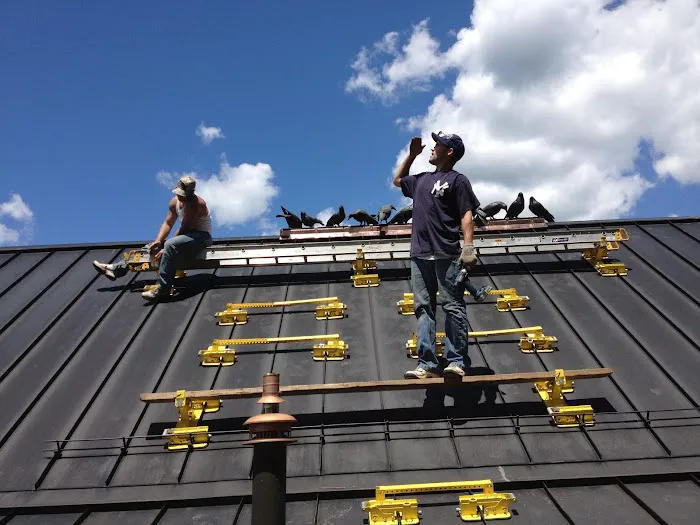 Mario Lallier LLC Picture 3