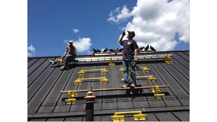 Mario Lallier LLC Picture 1