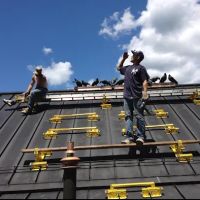 Mario Lallier LLC ico