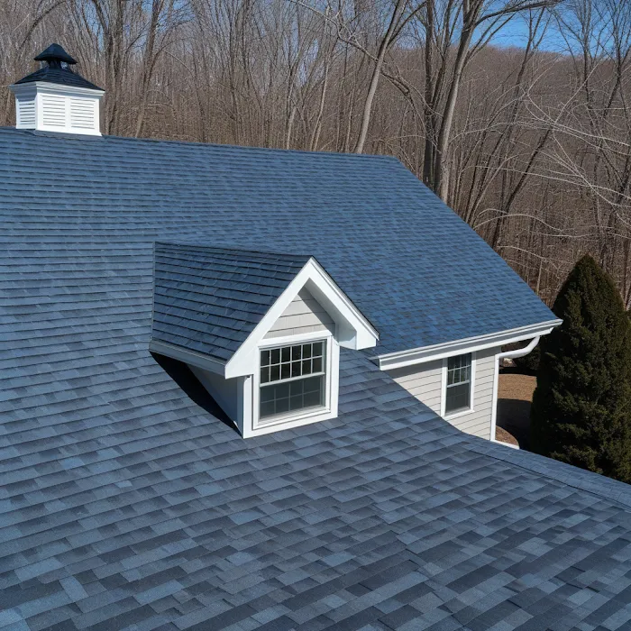 Leon Roofing LLC Picture 2