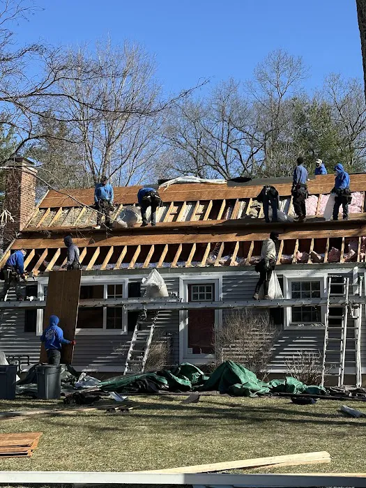 Royal Roofing Picture 2