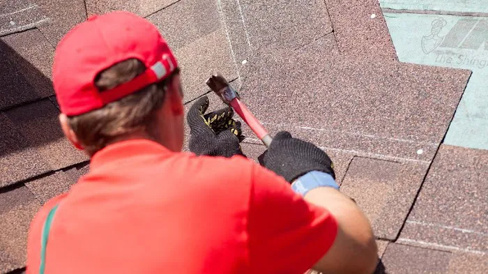 Pete's Roofing and Son LLC Picture 6