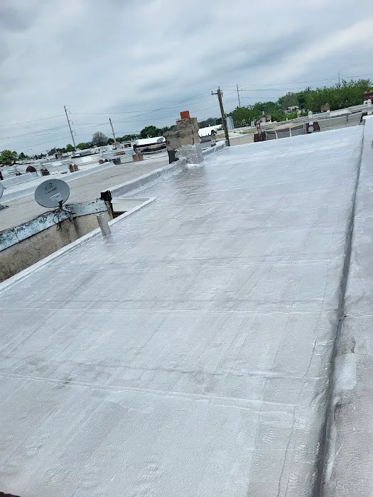 New Generation Roofing Picture 1