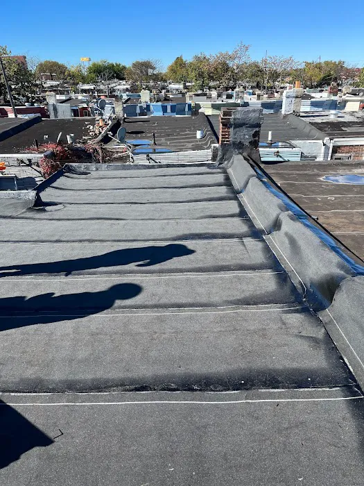 Super Roofer Picture 3