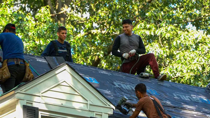 Seal Roofing Picture 6