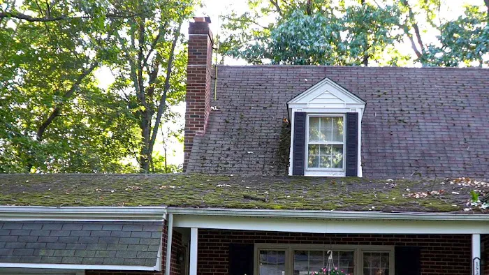 Seal Roofing Picture 2