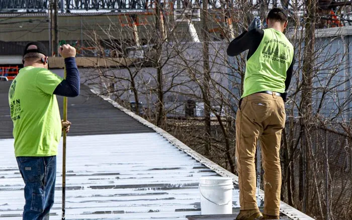 Seal Roofing Picture 8