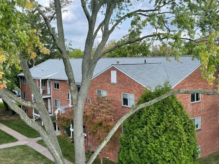 Skyline Roofing Exteriors Picture 8