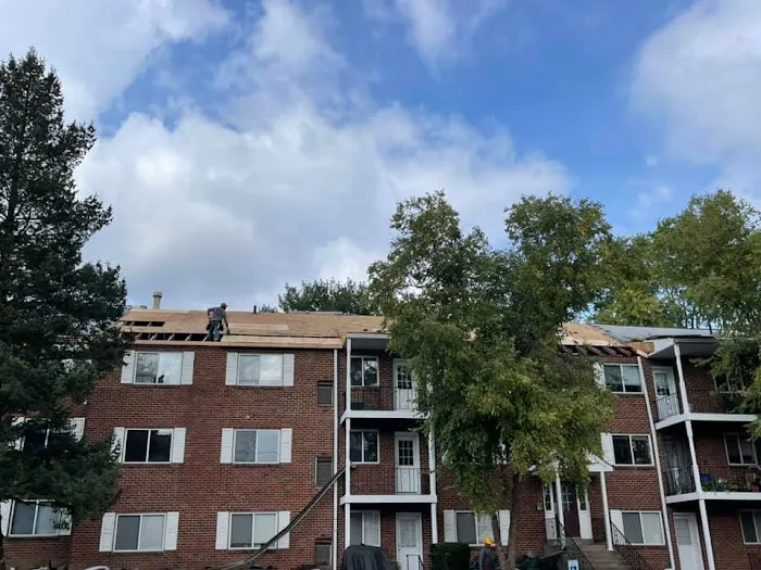 Skyline Roofing Exteriors Picture 10