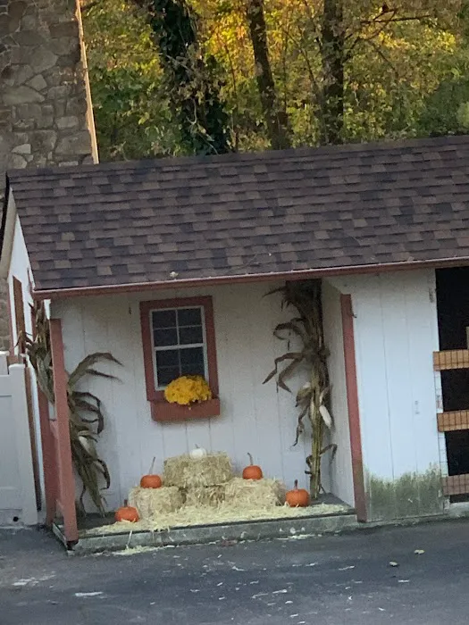 SWELL Roofing Co. Picture 2