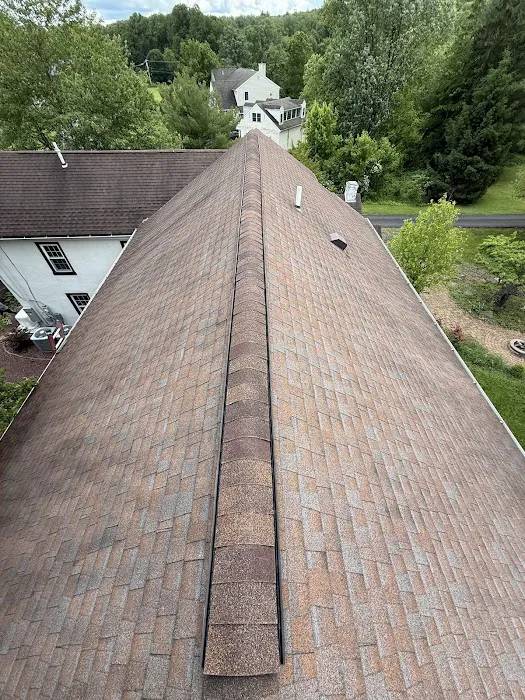 Mike Evangelist Roof Leak Specialist Picture 6