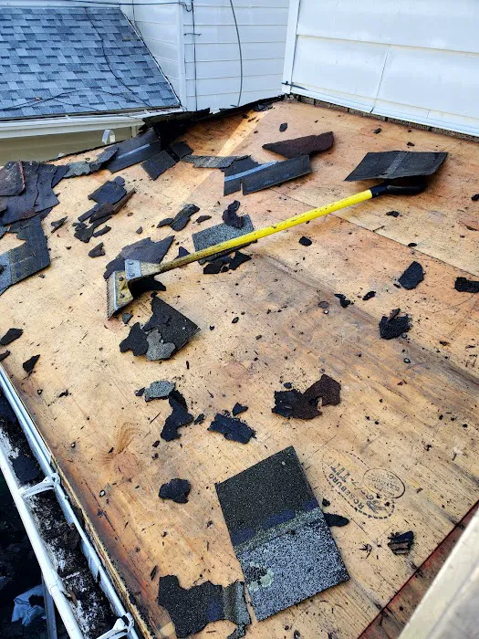 SPF Roofing Picture 6