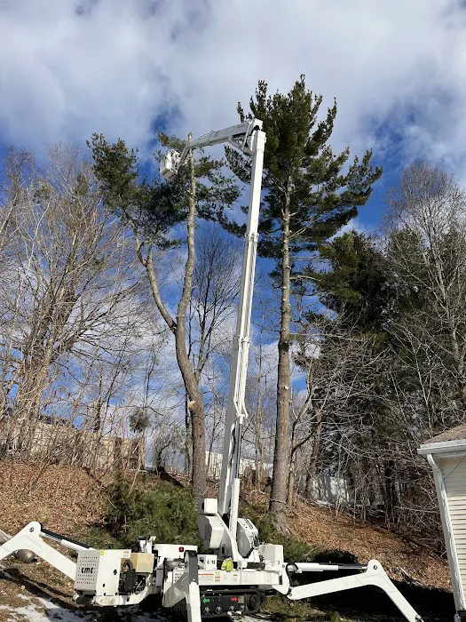 Colonial Exteriors Picture 2