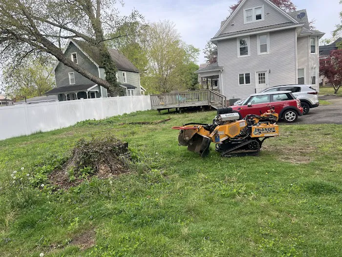 Madecol roofing and tree cutting service llc Picture 3