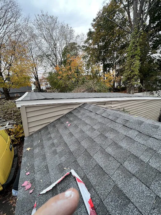 Madecol roofing and tree cutting service llc Picture 7