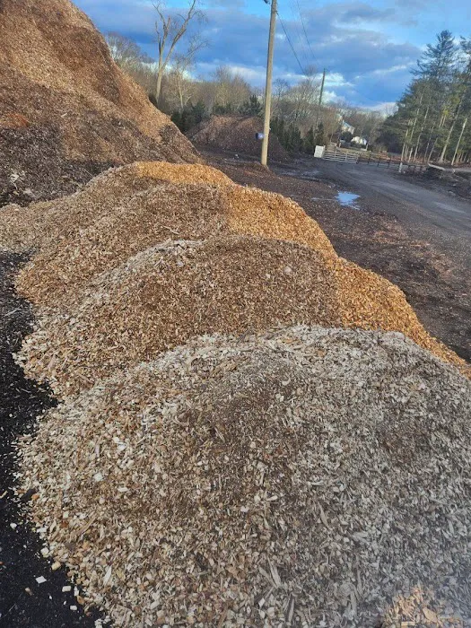 Madecol roofing and tree cutting service llc Picture 9