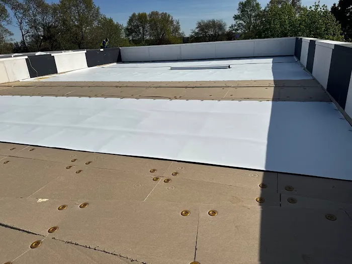 MM Dynamic of New York Picture 4