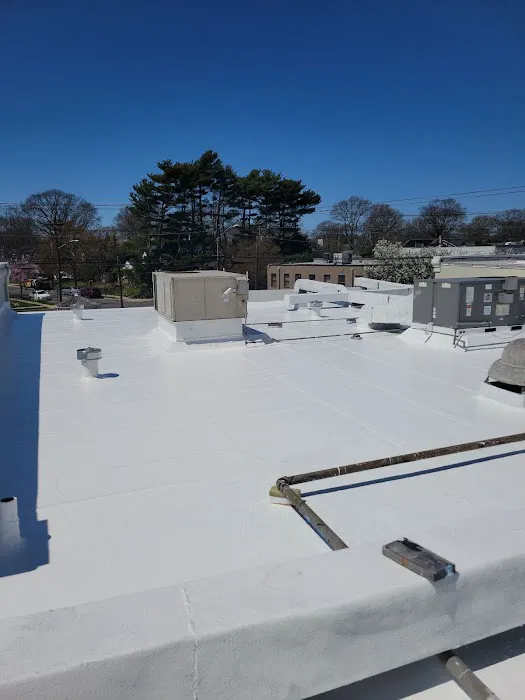 MM Dynamic of New York Picture 3