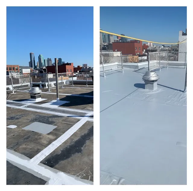 MM Dynamic of New York Picture 7