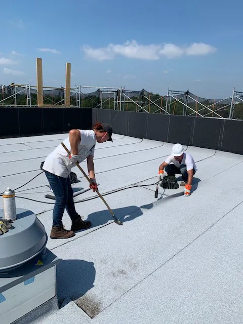 MM Dynamic of New York Picture 9