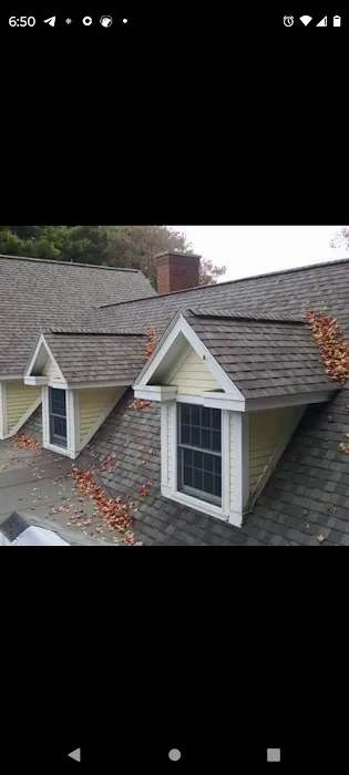 Skyline Roofing Picture 2