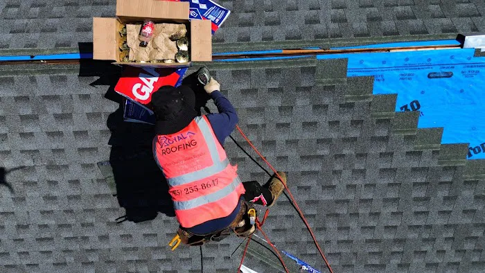 Royal Roofing Picture 5