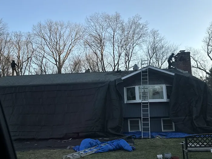 Royal Roofing Picture 1