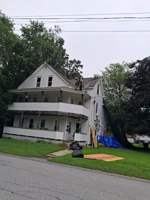 Rhino-Back Roofing Picture 4