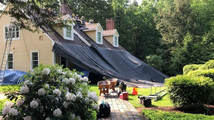 Rhino-Back Roofing Picture 9