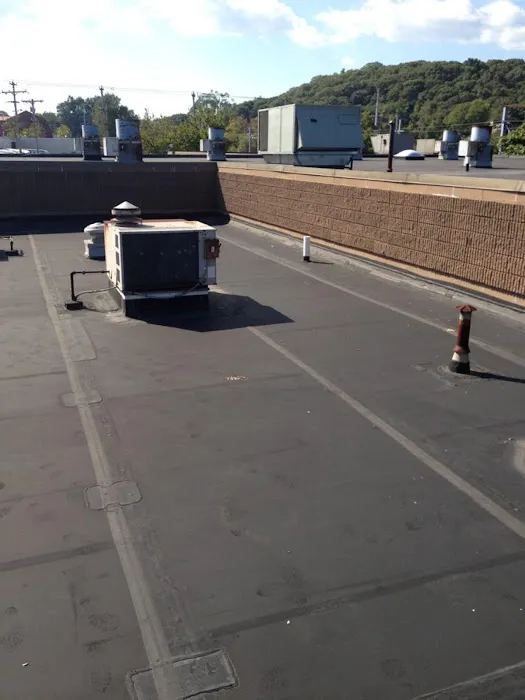 Elite Roofing Picture 4