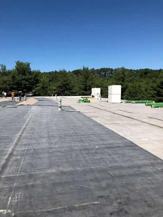 Elite Roofing Picture 7